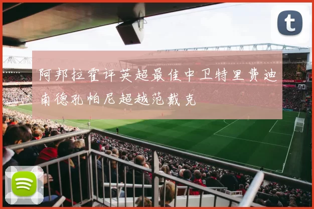 阿邦拉霍评英超最佳中卫特里费迪南德孔帕尼超越范戴克